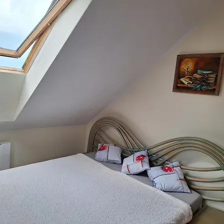 Domek Z Ogrodem Blisko Lasu I 4 Jezior Homestay *